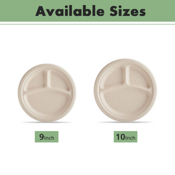 10" 3-Compartment Round Plate - 图片 4