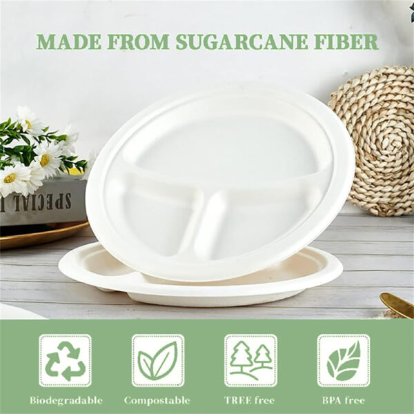 10" 3-Compartment Round Plate - 图片 8