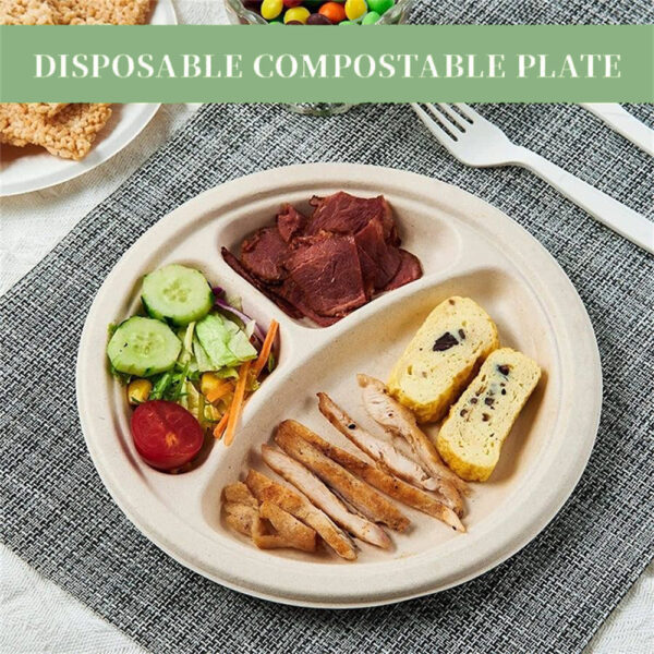 10" 3-Compartment Round Plate - 图片 7