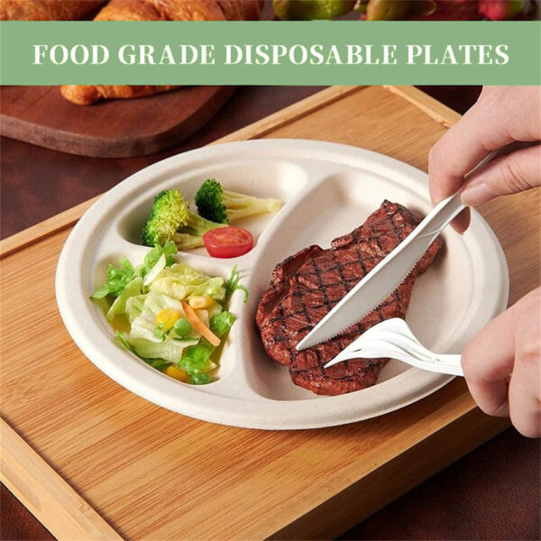 10" 3-Compartment Round Plate - 图片 5