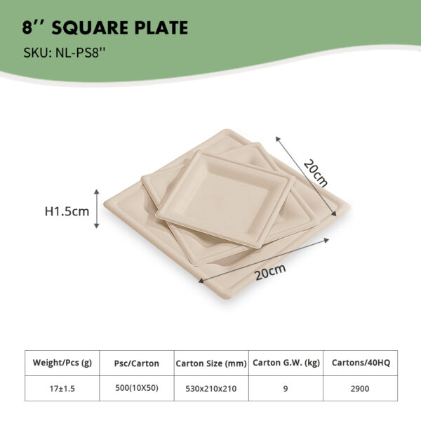 10" Square Plate - 图片 3