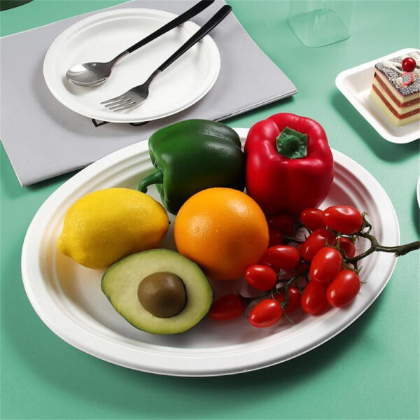 10" Oval Plate - 图片 7