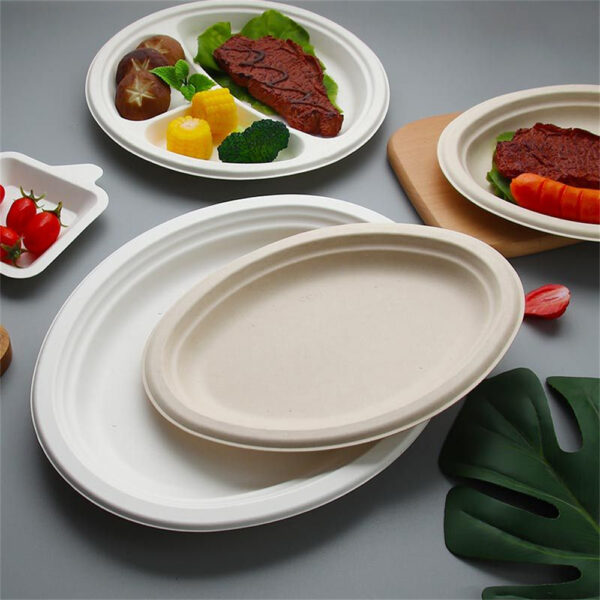 10" Oval Plate - 图片 6