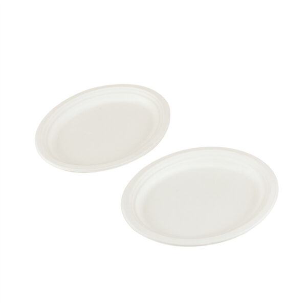 10" Oval Plate - 图片 3