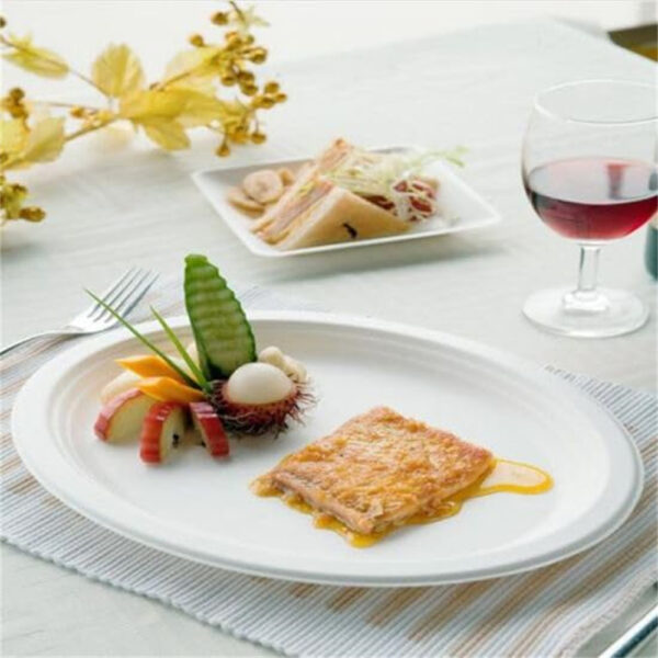 12" Oval Plate - 图片 6