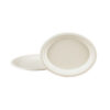 12" Oval Plate – Bild 5