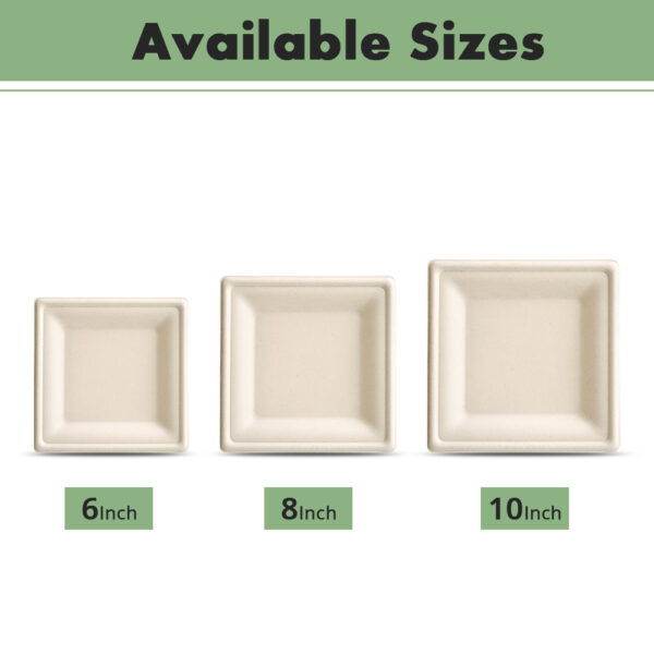 8" Square Plate - 图片 4