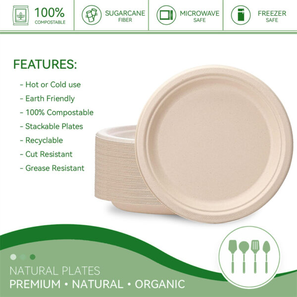 6" Round Plate - 图片 8