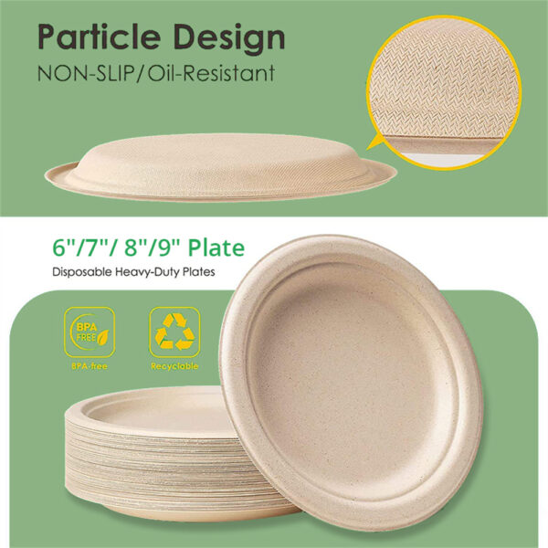 10" Round Plate - 图片 8