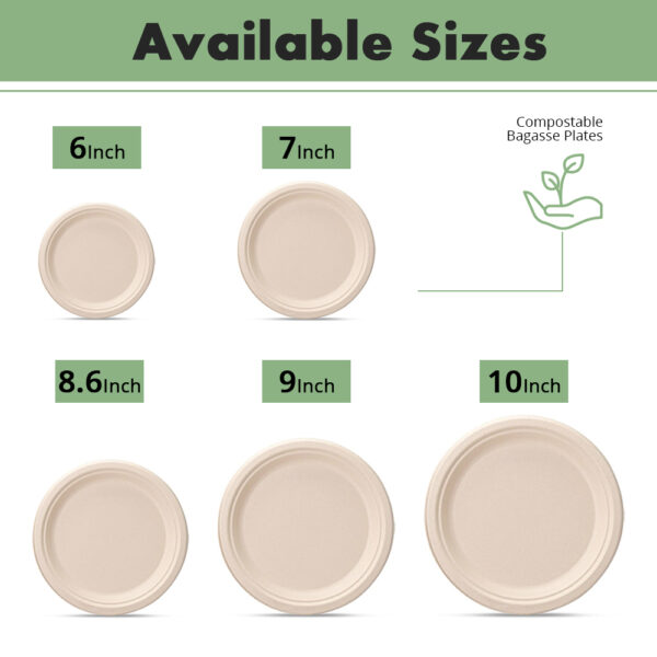 6" Round Plate - 图片 7