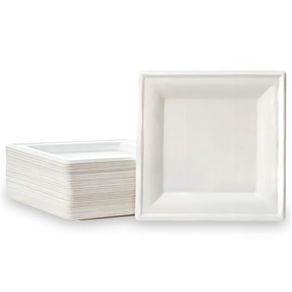 10" Square Plate - 图片 5