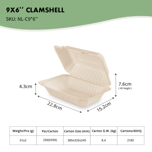 9×6" Muschelschale