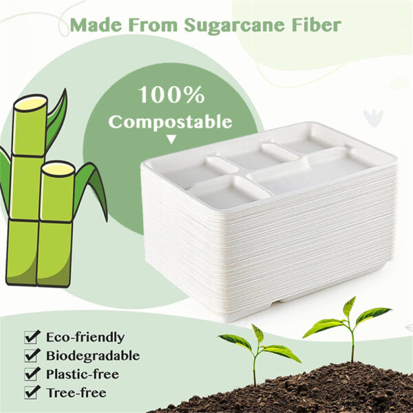10" 5-Compartment Tray - 图片 7
