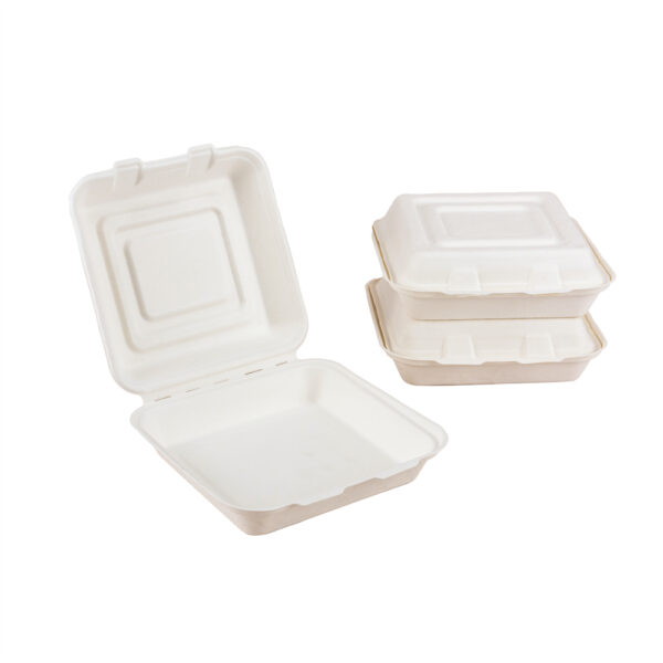 10" Clamshell - 画像 (6)