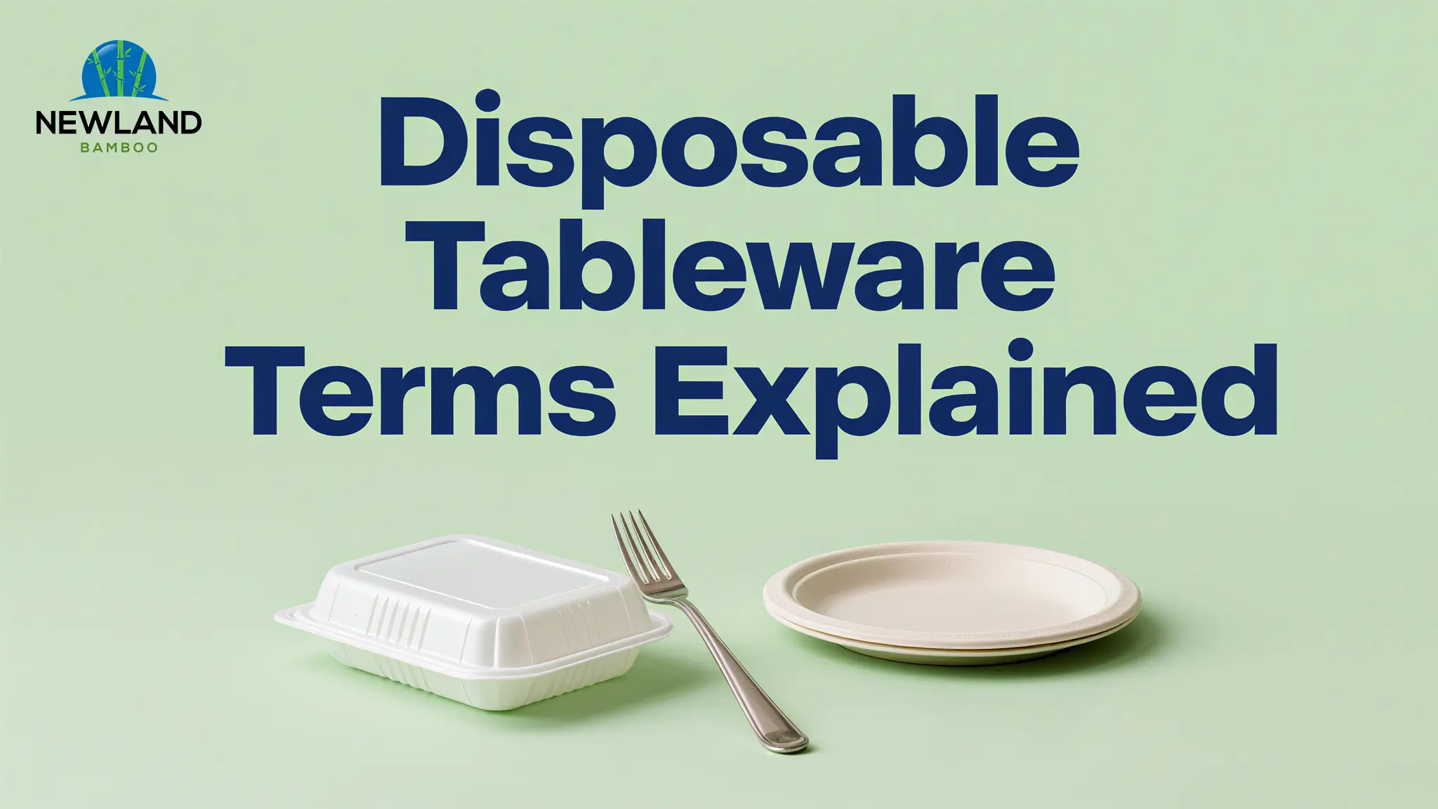 Disposable Tableware Terms Explained