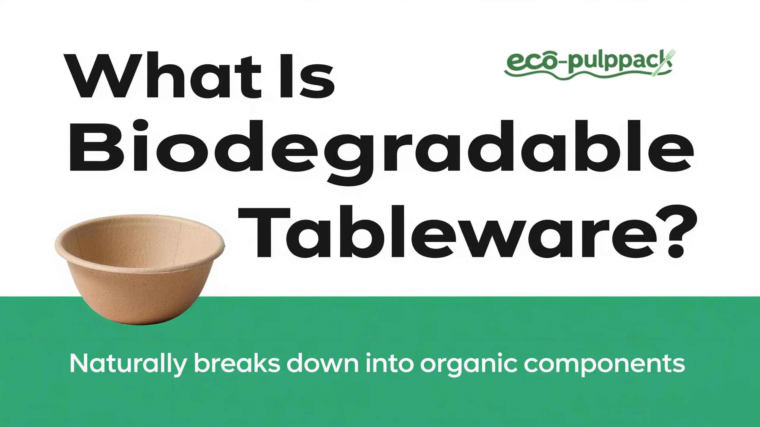 bagasse-tableware-manufacturer-eco-friendly-wholesale